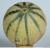 Melon Galia 0017